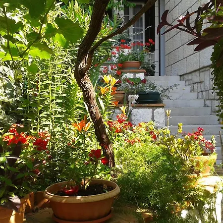 Cvetka Gasthuis Dubrovnik