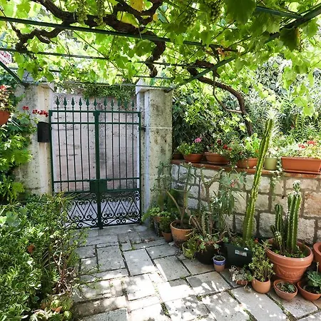 Cvetka Gasthuis Dubrovnik