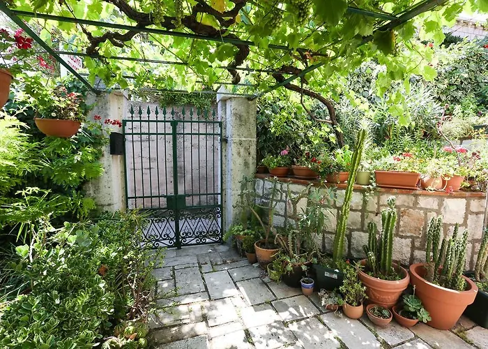 Cvetka Gasthuis Dubrovnik