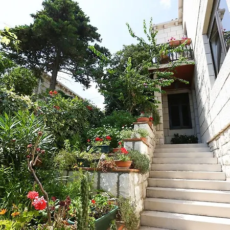 Casa de hóspedes Cvetka 3*