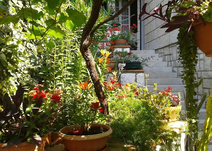 Cvetka Konukevi Dubrovnik