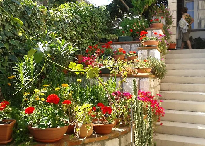 Cvetka Dubrovnik